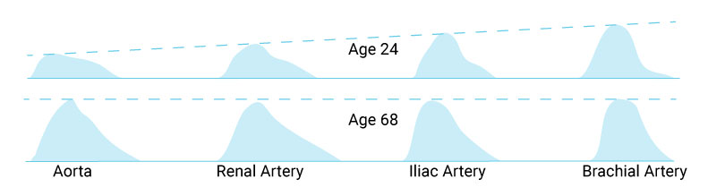 how to measure central blood pressure