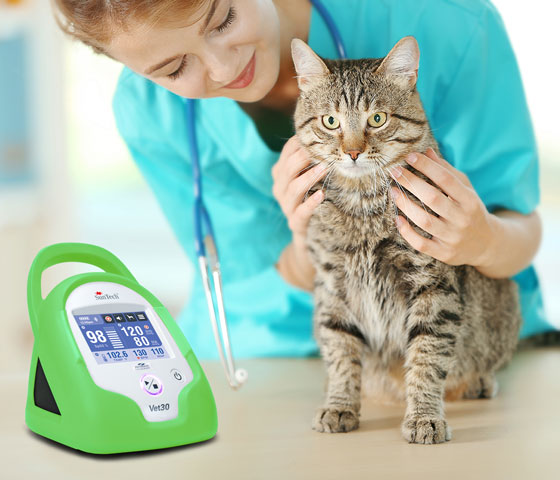 SunTech Vet20 product usage with cat 