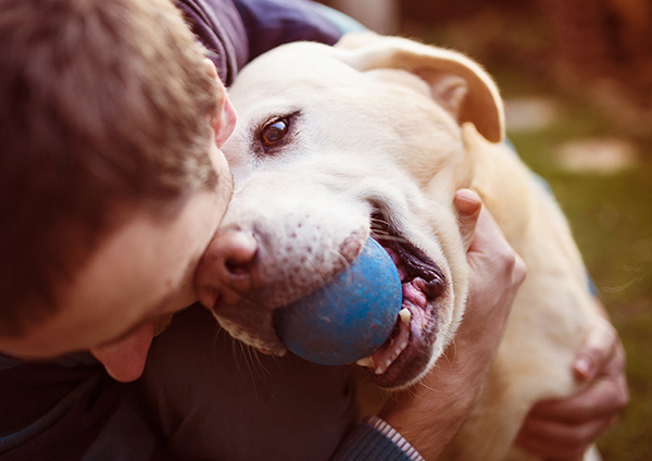 Happy Dog playing with caregiver