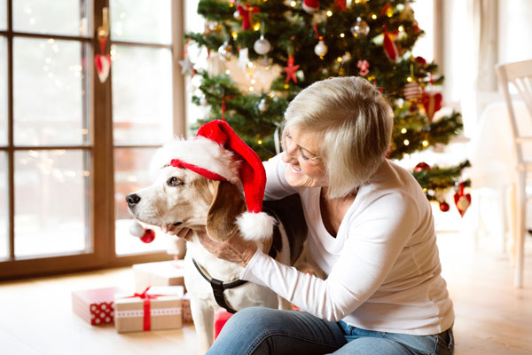 Female with a Pet Dog during the Holidays