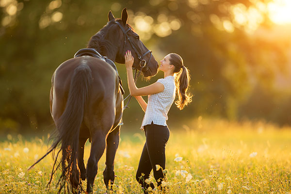 Horse with Woman Rider in Field